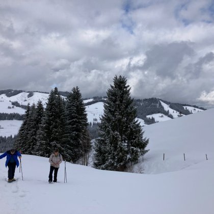 Blick zurück