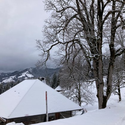 Trüschhubel-Hütte 1