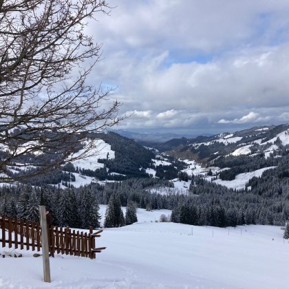 Aussicht Trüschhubel 2