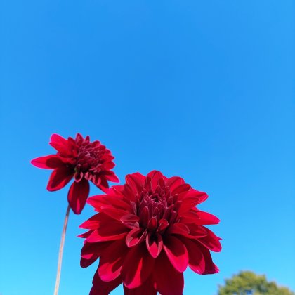 20210924_134217