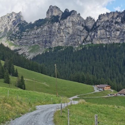 Foto 3 zu «Alpwanderung 2022»