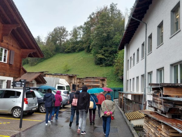 Auf zur Werkstattbesichtigung! Vom Holz bis zur fertigen Kuh!