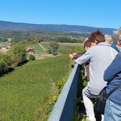 06-aussicht-terrasse