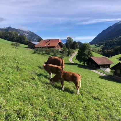 Foto 1 zu «Einblicke in die Bio-Branche (1)»