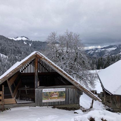 Trüschhubel-Hütte 2