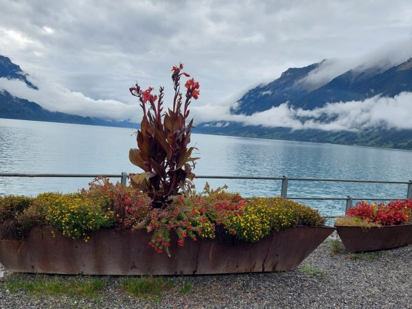 Brienz