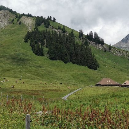 Foto 9 zu «Alpwanderung 2022»