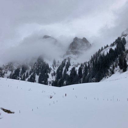 Aussicht Trüschhubel