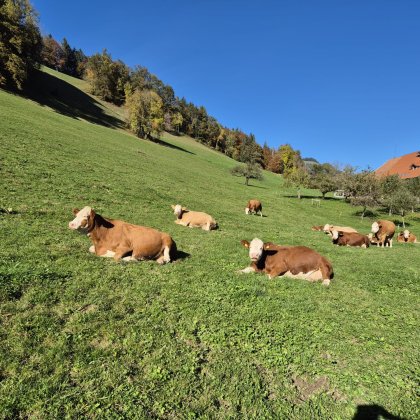 Foto 3 zu «Einblicke in die Bio-Branche (1)»