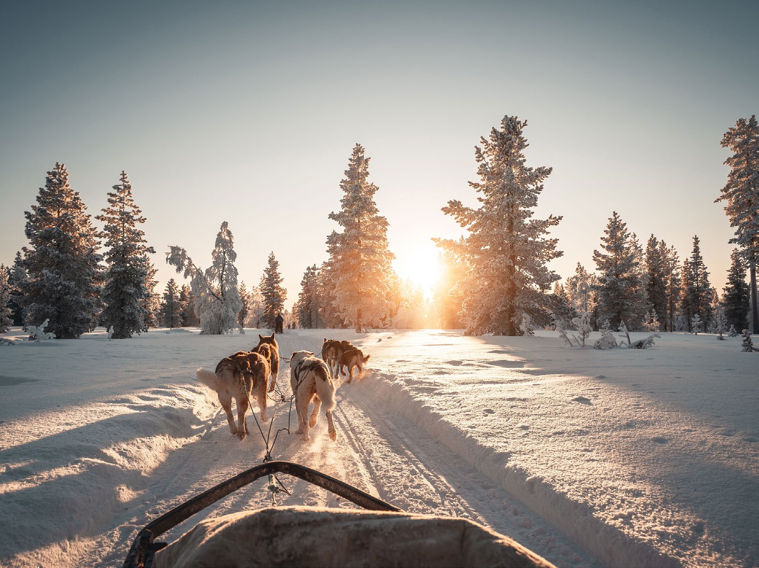 Winterreise Lappland 2026